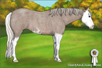 Horse Color:Silver Blue Roan Sabino Splash 