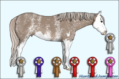Horse Color: White Spotted Silver Grullo Sabino Splash 