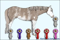 Horse Color:White Spotted Silver Grullo Sabino Splash 