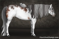 Horse Color:White Spotted Bay Splash Frame 