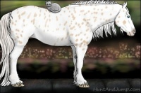 Horse Color:Palomino Pearl Frame Blanket 