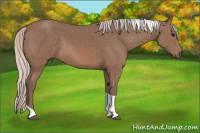 Horse Color:Silver Black Tobiano 