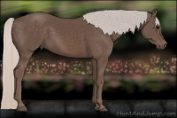 Horse Color:Silver Black 