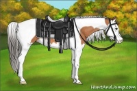 Horse Color:Bay Splash Tobiano Varnish 