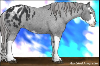 Horse Color:Brown Splash Varnish 