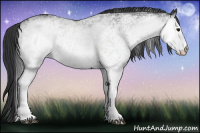 Horse Color:White Spotted Black 