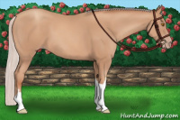 Horse Color:Silver Classic Champagne 