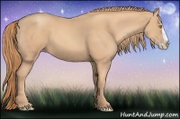 Horse Color:Gold Champagne Splash 