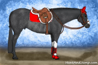 Horse Color:Black Rabicano