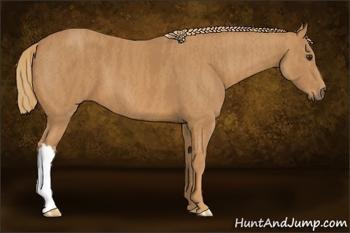 Horse Color: Chestnut  Brindle