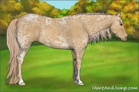 Horse Color:Palomino Ice 