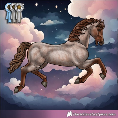 Horse Color: Unknown 
