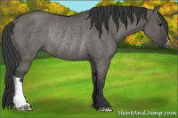 Horse Color:Grullo Rabicano 