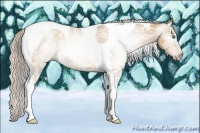 Horse Color:Gray Silver Amber Cream Champagne Ice Tobiano 