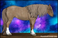 Horse Color:Chocolate Palomino Roan 