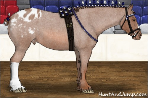 Horse Color: Liver Red Roan Blanket 