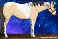 Horse Color:Buckskin Dun Tobiano