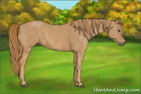 Horse Color:Chestnut  Brindle