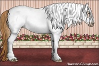 Horse Color:White Spotted Chestnut Frame  Brindle