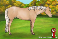 Horse Color:Silver Bay Roan Pearl