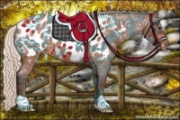Horse Color:Silver Brown Ice Roan Appaloosa 