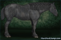 Horse Color:Black  Brindle