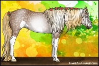 Horse Color:Gray Chestnut 