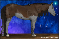 Horse Color:ERROR: UNKNOWN ANOMALY