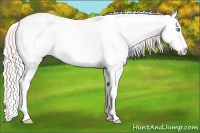 Horse Color:Smoky Creme Ice Tobiano 