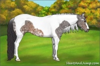 Horse Color:Buckskin Ice Tobiano 