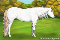 Horse Color:Sable Cream Champagne Ice Dun Tobiano Near Leopard 
