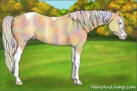 Horse Color:Nacre Silver Classic Cream Champagne Roan Splash Tobiano 
