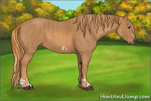 Horse Color: Chestnut Splash Frame  Brindle