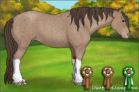 Horse Color:Classic Champagne Roan 