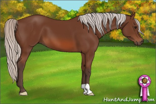 Horse Color: Silver Bay 