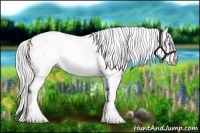 Horse Color:Gray Silver Amber Cream Champagne Roan Dun Splash Tobiano Frame Appaloosa Rabicano 