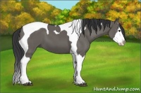 Horse Color:Grullo Splash Tobiano 
