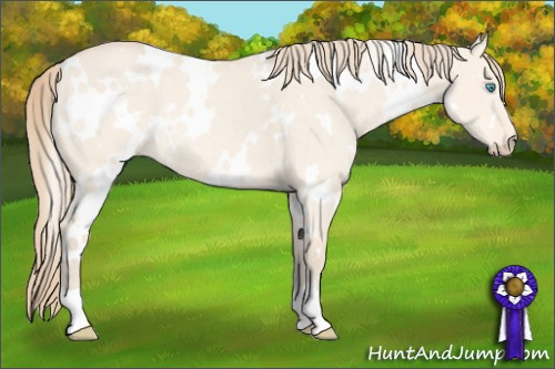 Horse Color: White Spotted Perlino Dun 
