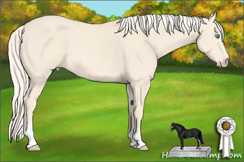 Horse Color: Cremello Sabino 