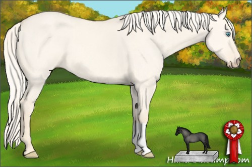 Horse Color: Cremello Dun 