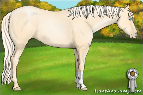 Horse Color: Palomino Pearl 