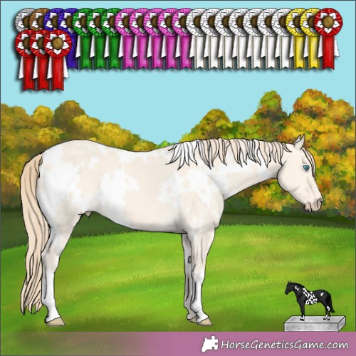 Horse Color:White Spotted Perlino Dun 