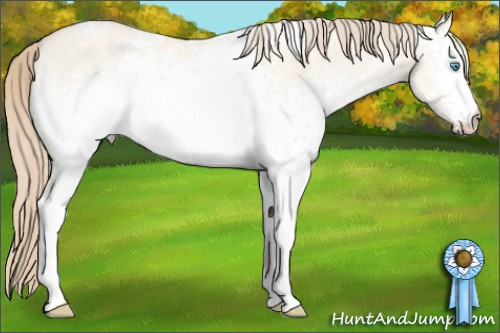 Horse Color: White Spotted Perlino Dun 
