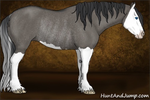 Horse Color:Grullo Splash Rabicano 