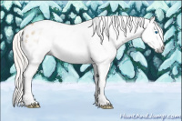 Horse Color:Gray Silver Amber Cream Champagne Roan Dun Splash Tobiano Frame Appaloosa Rabicano 