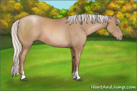 Horse Color:Silver Black Pearl Sabino 