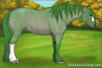 Horse Color:Watercolor Bay Roan 