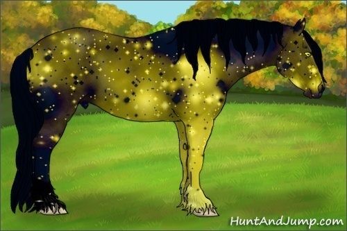 Horse Color: ERROR: UNKNOWN ANOMALY