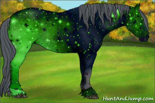 Horse Color: ERROR: UNKNOWN ANOMALY