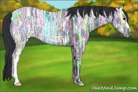 Horse Color:Blue Ice Roan 